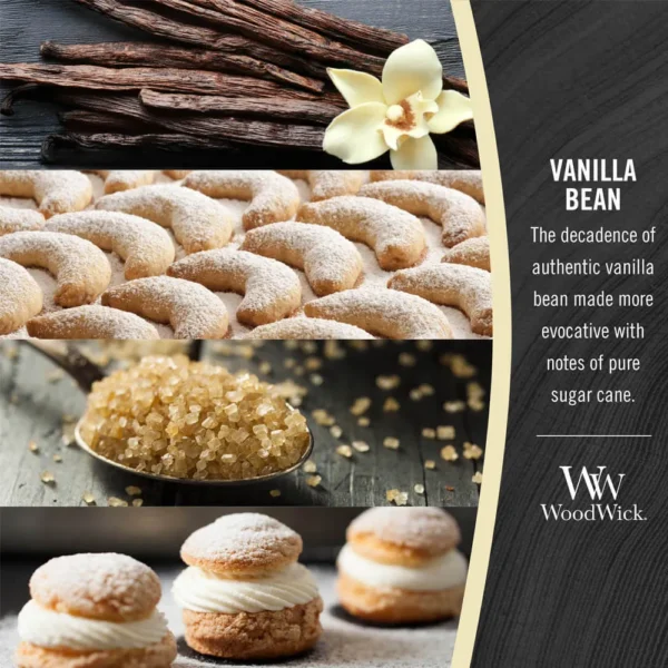 Vanilla Bean - Image 2