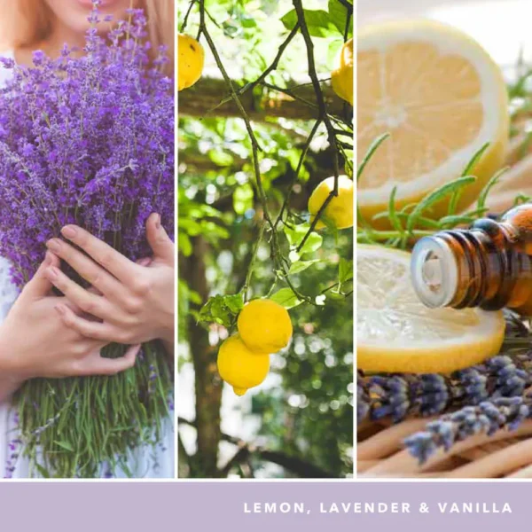 Lemon Lavender - Image 3