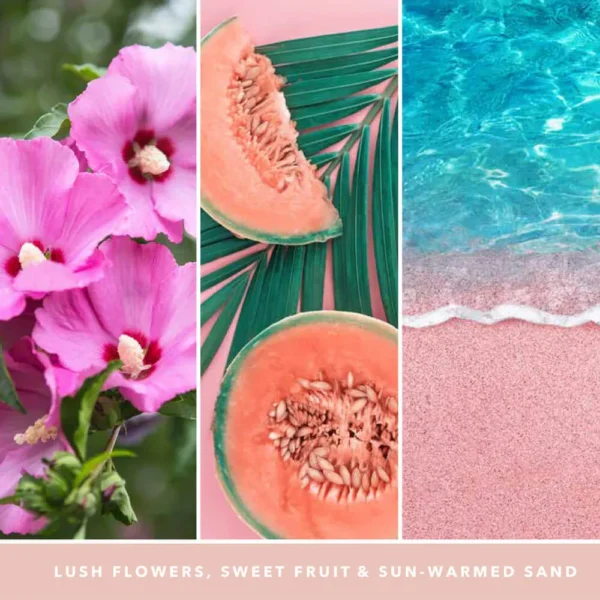 Pink Sands - Image 4