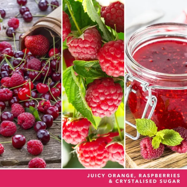 Red Raspberry - Image 3
