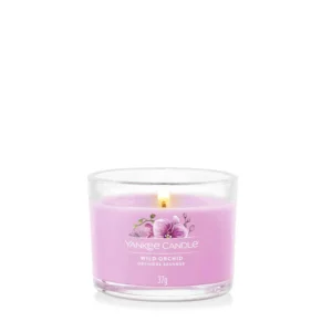 Wild Orchid