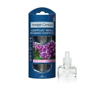 Wild Orchid