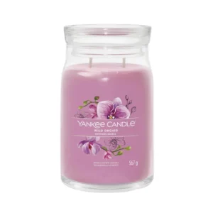 Wild Orchid