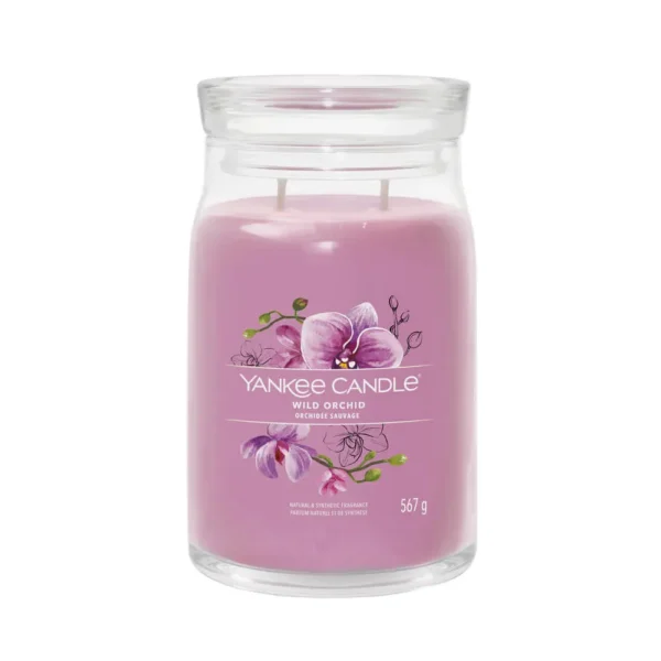 Wild Orchid