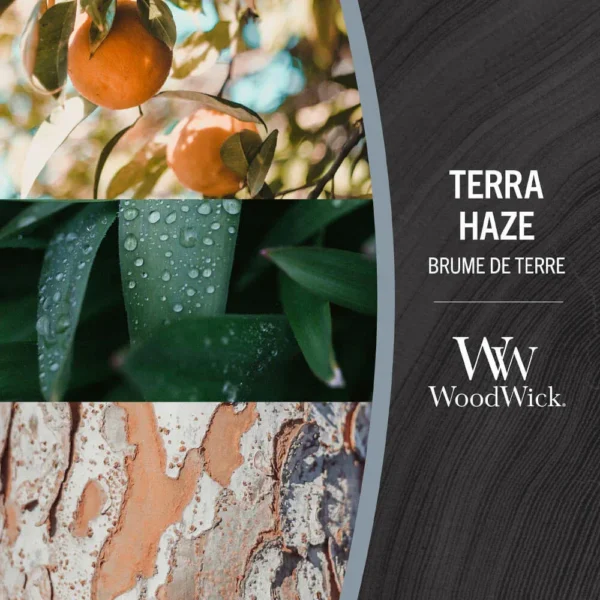 Terra Haze - Image 5
