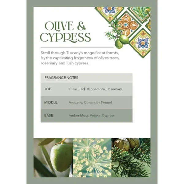 Olive and Cypress - Image 4